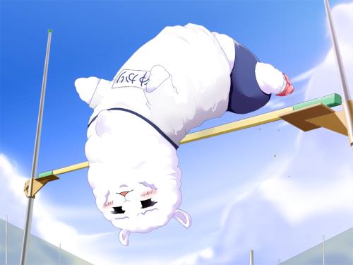End of rant. Here's an alpaca high jumping!